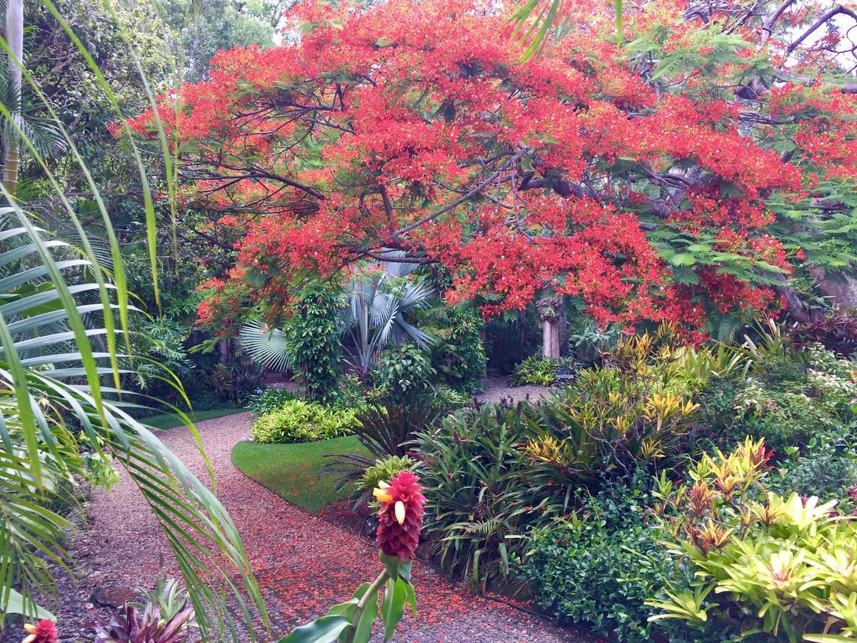 Eden Rest Bed & Breakfast Cooroy Eksteriør bilde